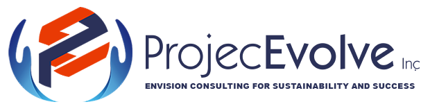 ProjecEvolve - Consulting & Outsourcing Services